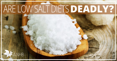 Are Low Salt Diets Deadly?